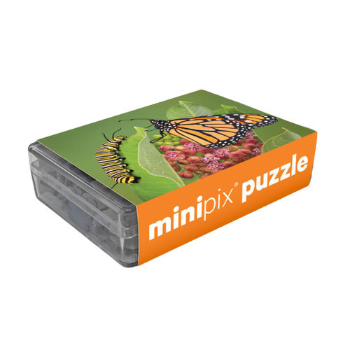 monarch-butterfly-minipix-puzzle.jpg